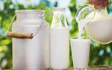 4 thức uống giàu vitamin D giúp xương chắc khỏe