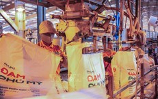 Tìm giải pháp ổn định thị trường phân bón trong nước