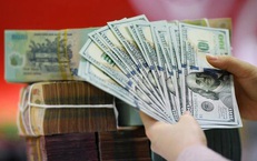 Giá USD tăng trở lại