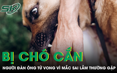 Người đàn ông tử vong sau khi bị chó cắn vì mắc sai lầm thường gặp