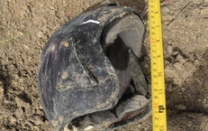 Phát hiện thi thể nam giới cháy đen, khó nhận dạng ở TPHCM