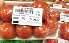 Chuyên gia chỉ cách bảo quản khoai tây, cà chua để lâu không hỏng