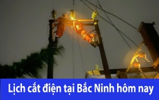 Tra cứu lịch cắt điện Bắc Ninh hôm nay Chủ Nhật ngày 8/3/2026