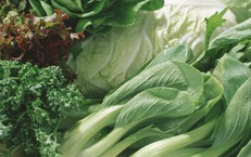 Top 5 loại rau xanh giàu canxi hơn sữa: Giải pháp tự nhiên cho xương chắc khỏe