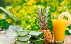 Cách làm sinh tố giảm cân từ nha đam