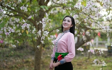 Tháng 3 Điện Biên, hoa ban nở trắng miền lịch sử