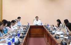 Đẩy nhanh hoàn thiện Nghị định hướng dẫn Luật Dân số, làm rõ nhiều chính sách hỗ trợ thiết thực