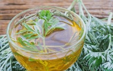 3 cách sử dụng ngải cứu làm sáng da hiệu quả tại nhà