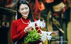 ẢNH: Tháng Tư dịu dàng trong sắc loa kèn