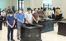 Tuyên án vụ đưa, nhận hối lộ trong cung cấp thực phẩm trường mầm non