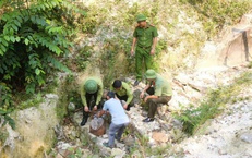 Thả rắn hổ mang chúa quý hiếm về rừng tự nhiên