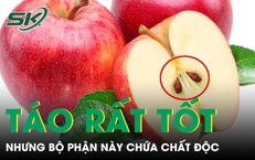 Táo rất tốt cho sức khoẻ nhưng bộ phận này không nên ăn nhiều vì chứa chất độc 