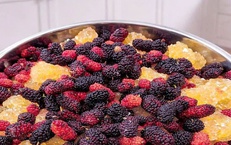 Dâu tằm ngâm nổi váng: Độc tố cần loại bỏ hay chỉ hớt váng là được?