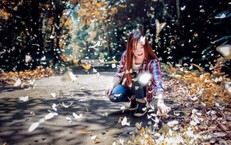 Không nên bắt bướm, xua đuổi bướm bay lên để chụp ảnh ở Vườn quốc gia Cúc Phương