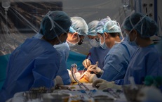 Bệnh khớp háng trẻ hóa, chuyên gia cảnh báo lạm dụng corticoid