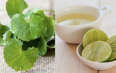 Mẹo chữa nám da từ rau má