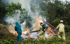 Nắng nóng, cảnh báo cháy rừng mức cao nhất ở nhiều khu vực