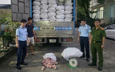 Ngăn chặn hơn 12 tấn chân lợn đông lạnh bốc mùi hôi ra thị trường