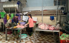 Giết mổ nhỏ lẻ trong khu dân cư tiềm ẩn nguy cơ mất an toàn thực phẩm