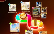 Viên uống yến sào của Ausmedic có tốt không? Góc nhìn từ khoa học và an toàn