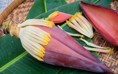 5 món ăn bài thuốc từ hoa chuối