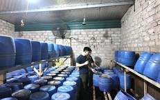 Cận cảnh nhà xưởng sản xuất 4 tấn giá đỗ sử dụng chất cấm