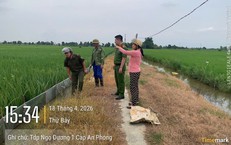 Cảnh báo nguy cơ chết người từ việc dùng điện bẫy chuột