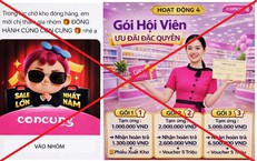 Người phụ nữ mất gần 1 tỷ đồng vì tham gia nhóm 'Đồng hành cùng Con Cưng' giả mạo