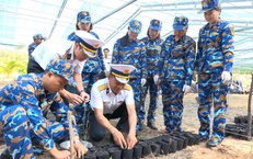 Vùng 4 Hải quân ươm, nhân giống 30.000 cây trồng thực hiện chương trình 'Xanh hóa Trường Sa'