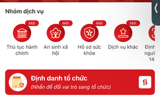 Lý lịch tư pháp trên VNeID sẽ hiển thị những gì?