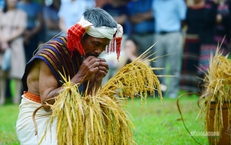 [Ảnh] Người Chu Ru mang mùa vàng từ đại ngàn về Thủ đô