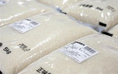 Chuyên gia dự báo giá gạo toàn cầu có thể tăng mạnh