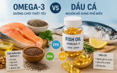 4 điểm khác biệt chính giữa omega-3 và dầu cá, lựa chọn loại nào phù hợp nhất với bạn?