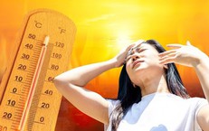 Giữ năng lượng tỉnh táo trong ngày nắng nóng: Khi cơ thể cần thích nghi thông minh