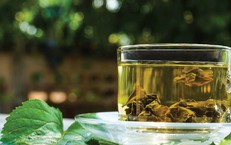 Cách dùng lá dâu tằm cải thiện giấc ngủ