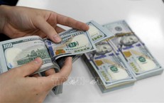 Tỷ giá hôm nay 21/4: Giá USD điều chỉnh nhẹ