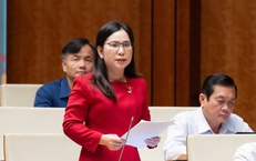 ĐBQH đề xuất coi việc sinh đủ 2 con là trách nhiệm xã hội gắn với mục tiêu phát triển bền vững của đất nước