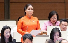 ĐBQH: Một lượng tài sản lớn trong dân vẫn nằm ngoài hệ thống tài chính