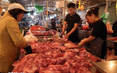 Hà Nội dự kiến xây mới, xây lại 108 chợ, giải tỏa tất cả các 'chợ cóc'