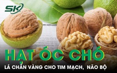 Hạt óc chó lá chắn vàng cho tim mạch, não bộ 