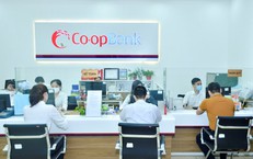 Kết luận thanh tra Co-opBank Hà Nam