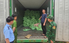 Khám 3 kho hàng vùng biên, phát hiện hơn 25 tấn chân lợn, cánh gà đông lạnh không rõ nguồn gốc