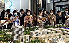 Giá chung cư Hà Nội chạm 128 triệu/m², TP.HCM 112 triệu/m²: Mặt bằng giá tiếp tục neo cao