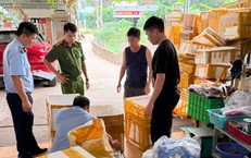 Phát hiện gần 3 tạ chả mực không rõ nguồn gốc ở Quảng Ninh