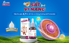 Sắt vi nang hấp thu cao thế hệ mới từ Italy