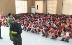 Triệt phá trường gà quốc tế Viêng Xay quy mô đặc biệt lớn