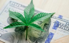 Bước ngoặt lịch sử trong chính sách kiểm soát cần sa tại Mỹ