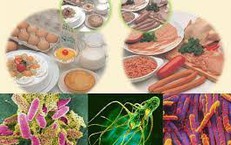 Bộ Y tế yêu cầu truy suất nguồn gốc thực phẩm vụ hơn 40 học sinh nghi ngộ độc ở Cà Mau