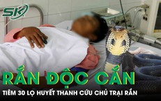 Tiêm 30 lọ huyết thanh cứu người chủ bị rắn độc cắn 