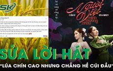Nhạc sĩ thông báo sửa lời hát “Lúa chín cao nhưng chẳng hề cúi đầu”
